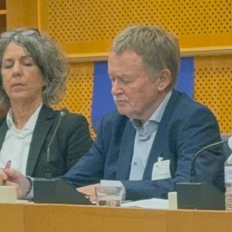 ANSE BSC Professor Andries de Grip Maastricht University